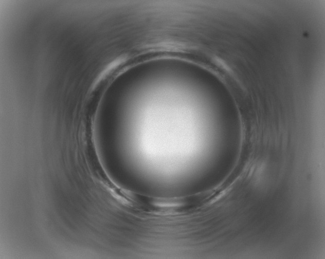 X0000082931307200702011229