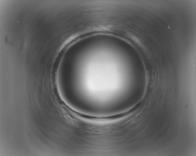 X0000082931308200702011229