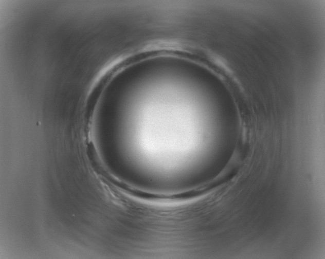 X0000082931312200702011229