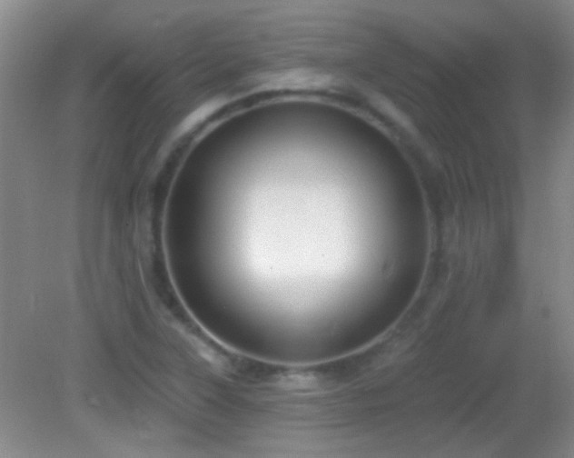 X0000082931315200702011229