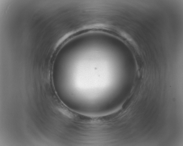 X0000082931316200702011229