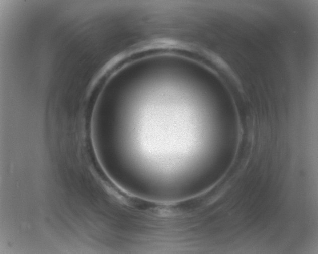 X0000082931318200702011229