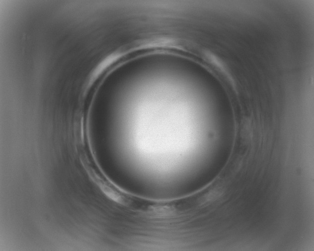 X0000082931320200702011230