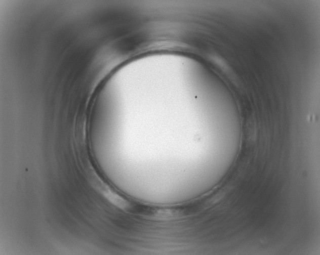 X0000082931322200702011230