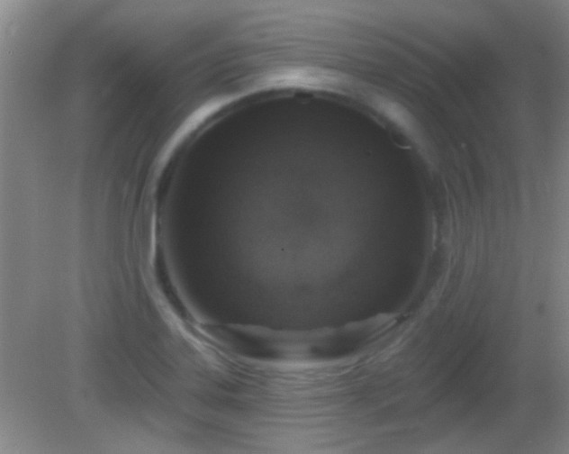 X0000082931323200702011230