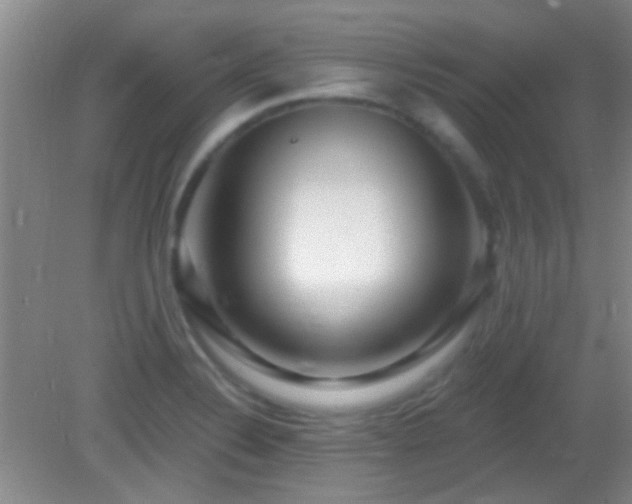X0000082931324200702011230