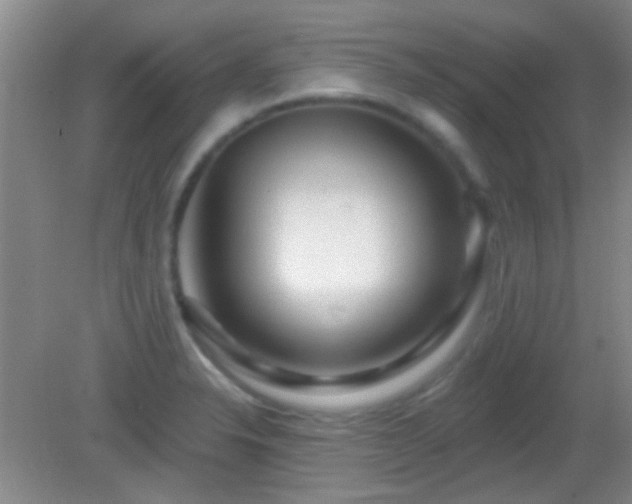 X0000082931326200702011230