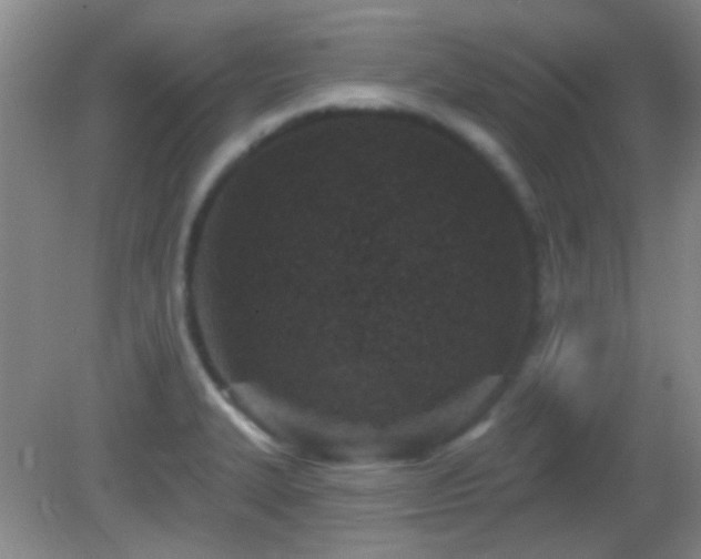 X0000082931327200702011230
