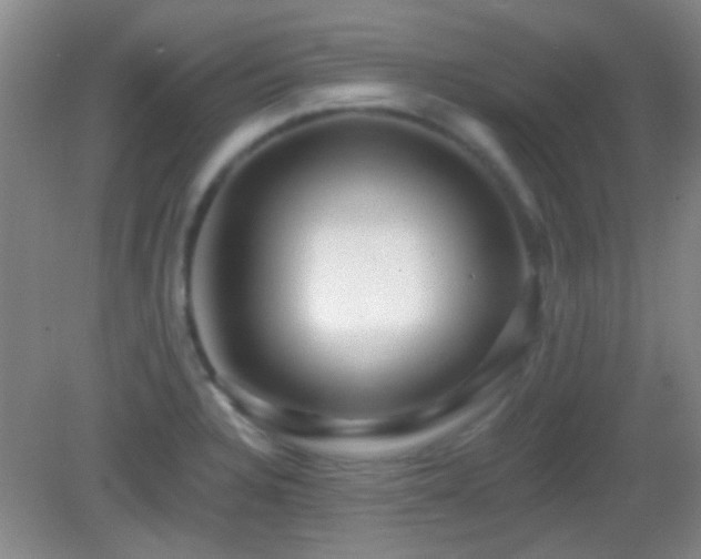 X0000082931328200702011230