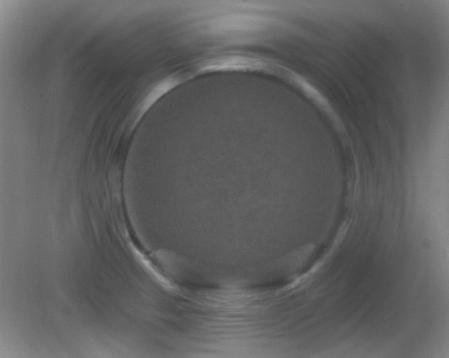 X0000082931329200702011230