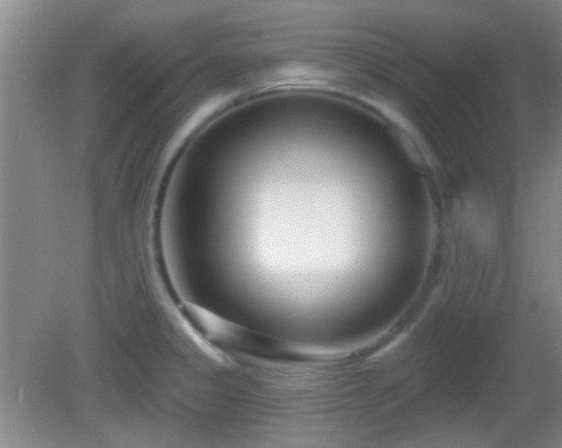 X0000082931333200702011230
