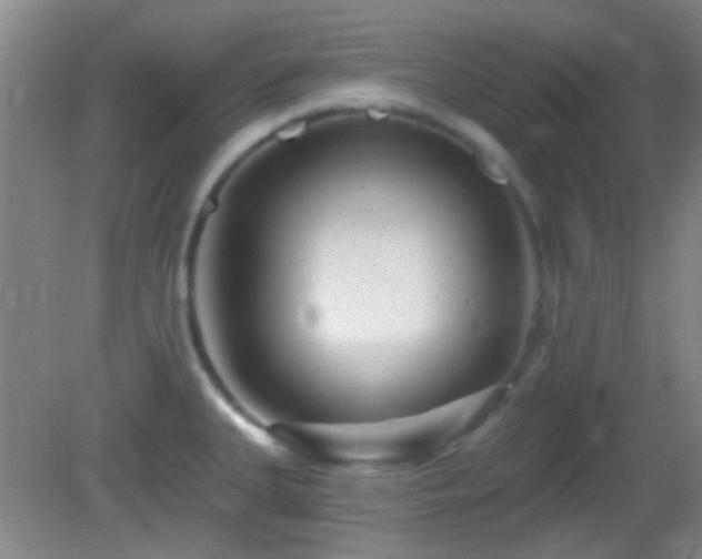 X0000082931335200702011230