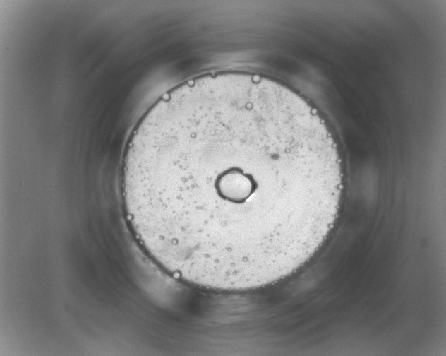 X0000082931338200702011230