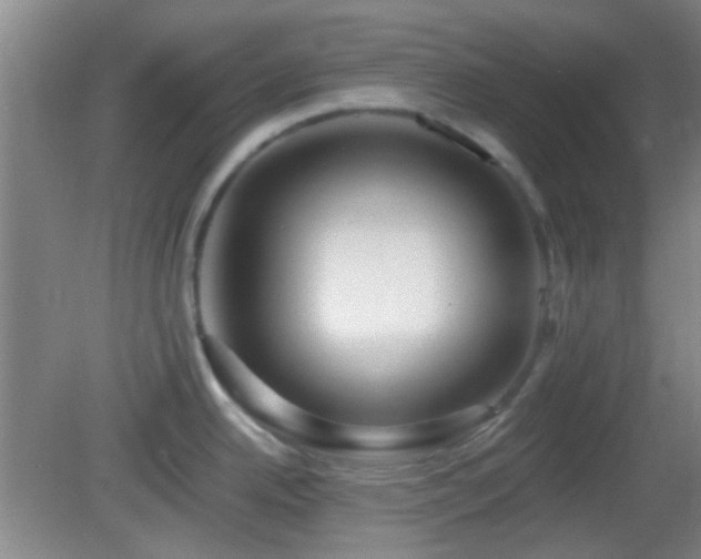 X0000082931342200702011230