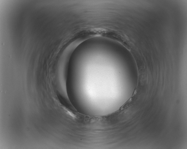 X0000082931345200702011229