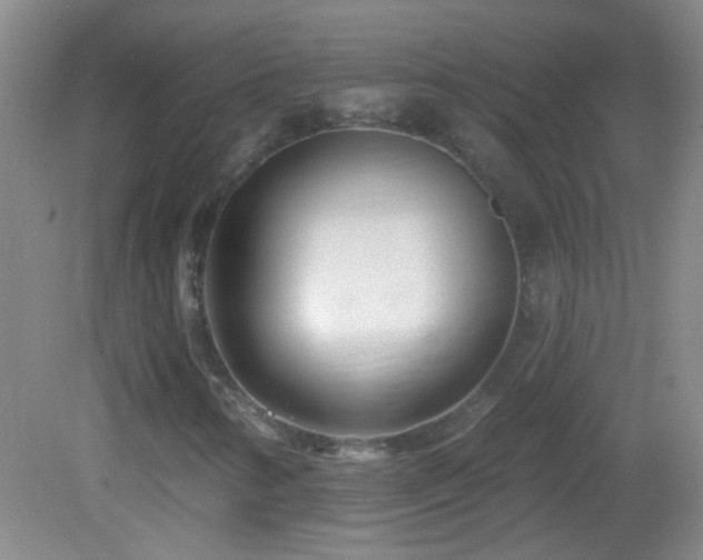 X0000082931346200702011229