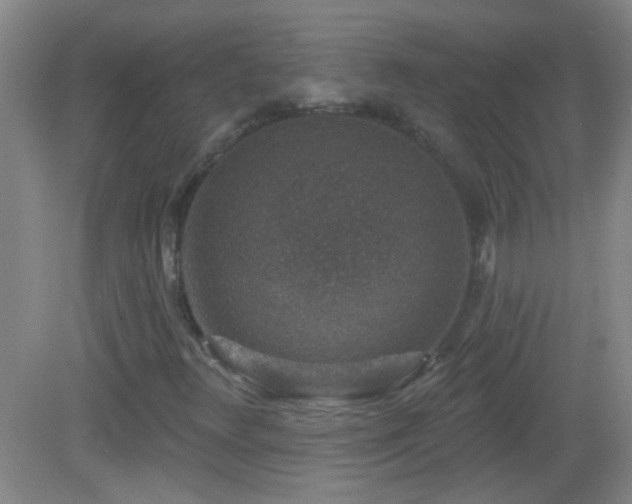 X0000082931348200702011229