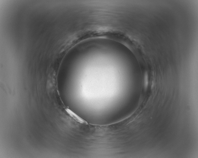 X0000082931349200702011229