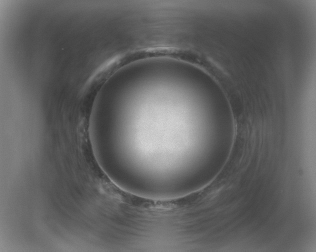 X0000082931351200702011229