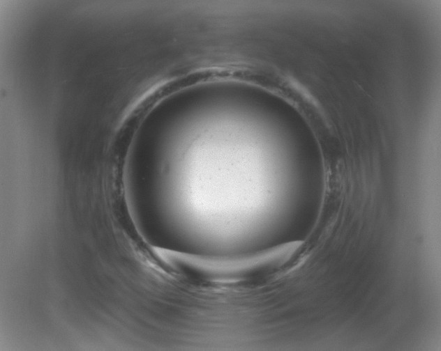 X0000082931352200702011229