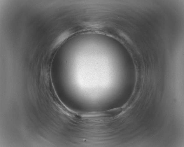 X0000082931354200702011229