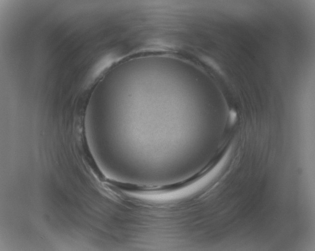 X0000082931355200702011229