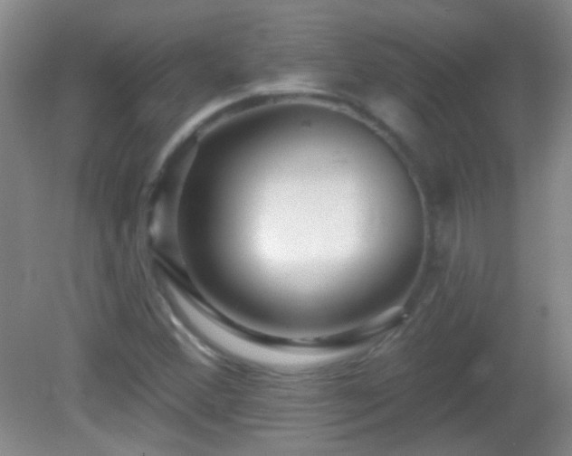 X0000082931356200702011229