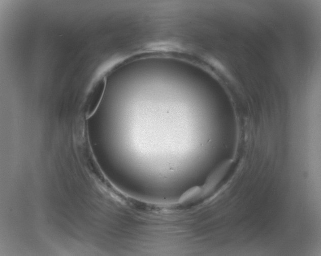 X0000082931358200702011229