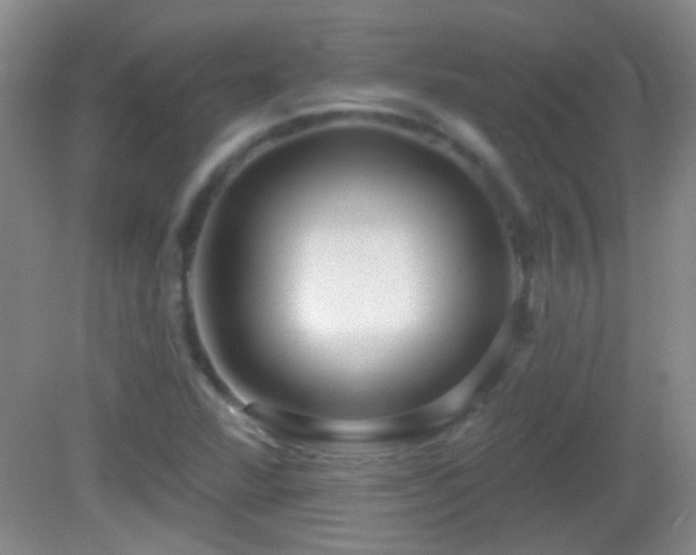 X0000082931360200702011229