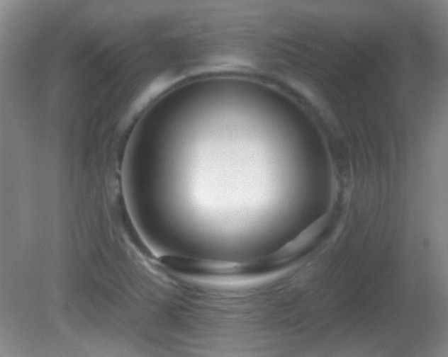 X0000082931363200702011229
