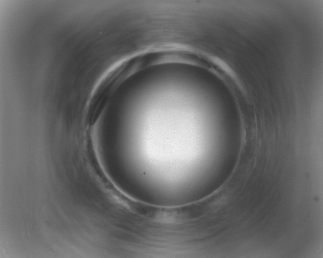 X0000082931364200702011229