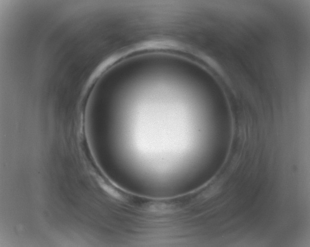 X0000082931366200702011229