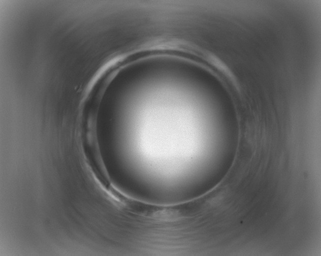 X0000082931368200702011229
