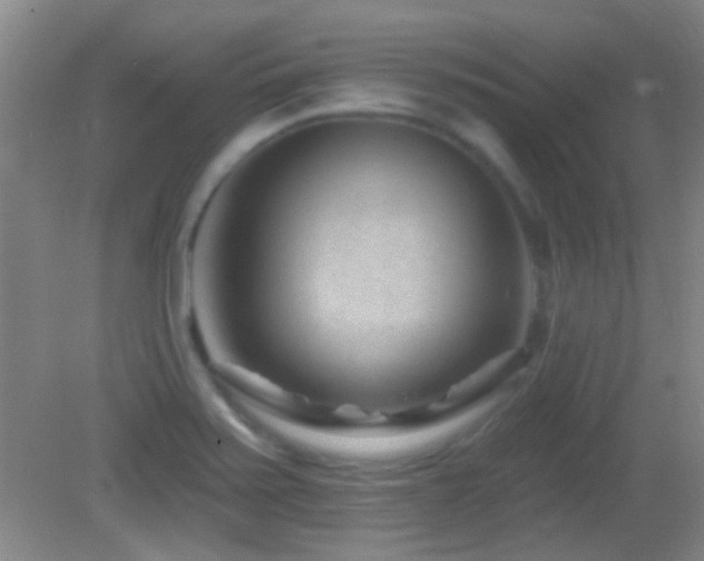 X0000082931371200702011229
