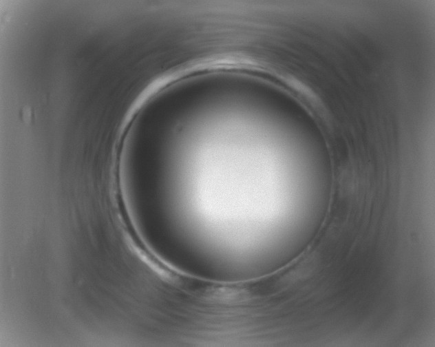 X0000082931374200702011229