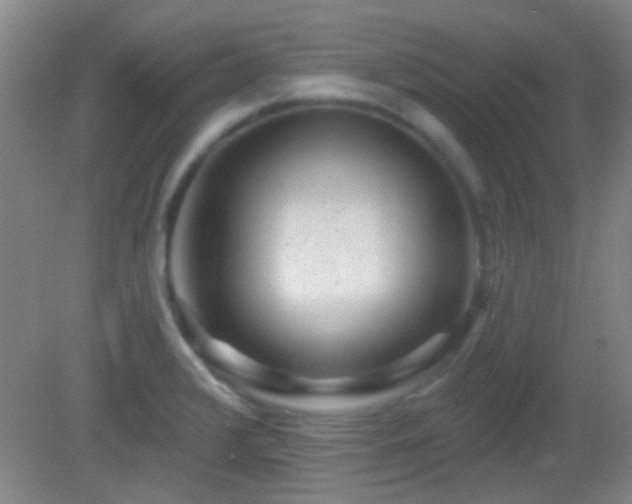 X0000082931376200702011229