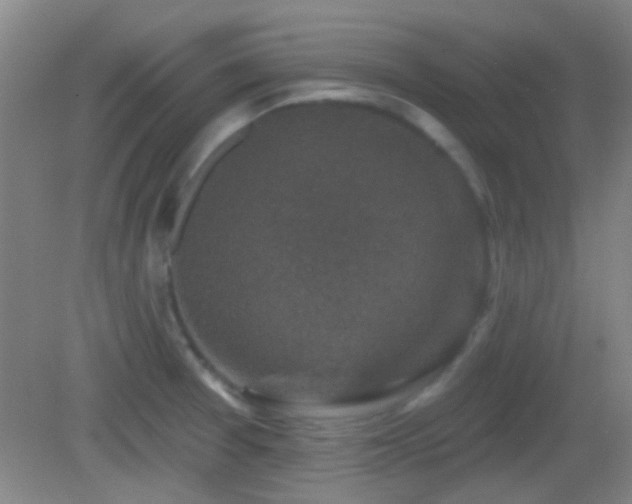 X0000082931377200702011229