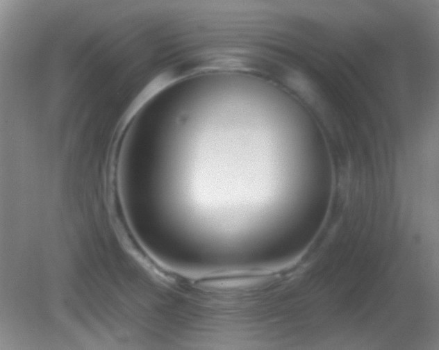 X0000082931378200702011229