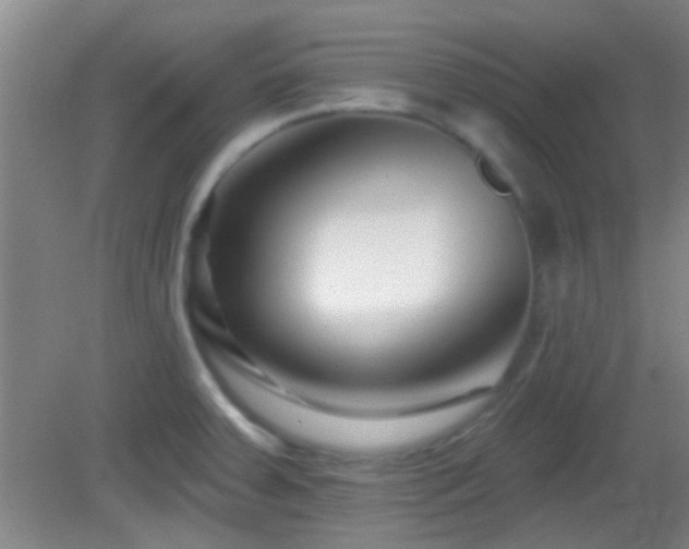 X0000082931379200702011229