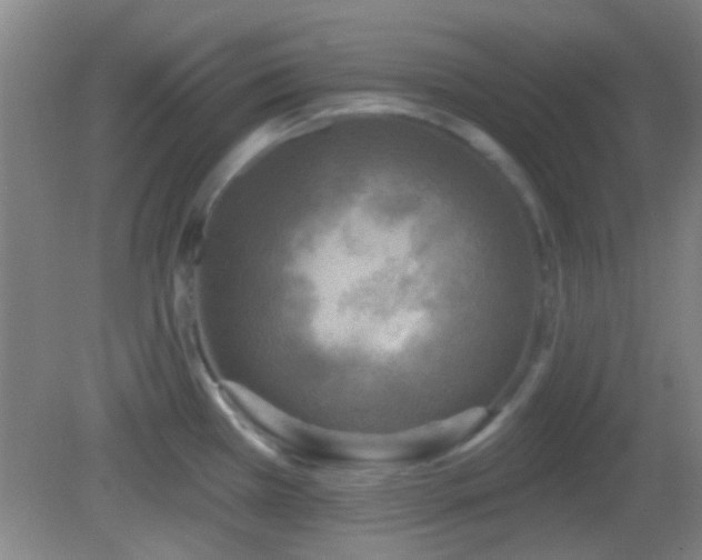 X0000082931385200702011228