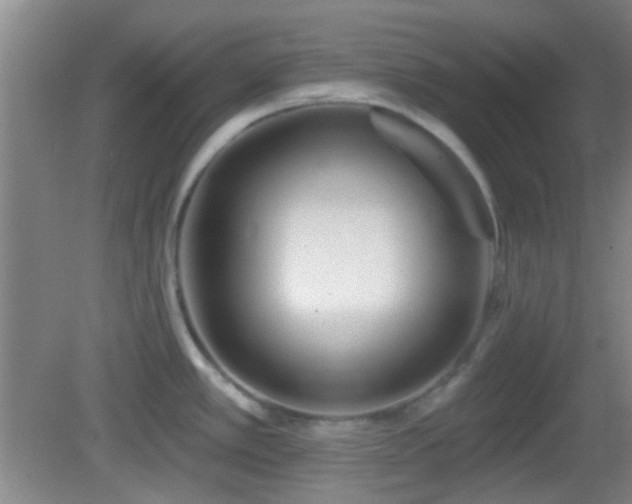 X0000082931389200702011228