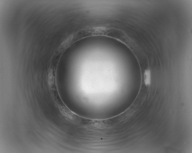 X0000082931395200702011228