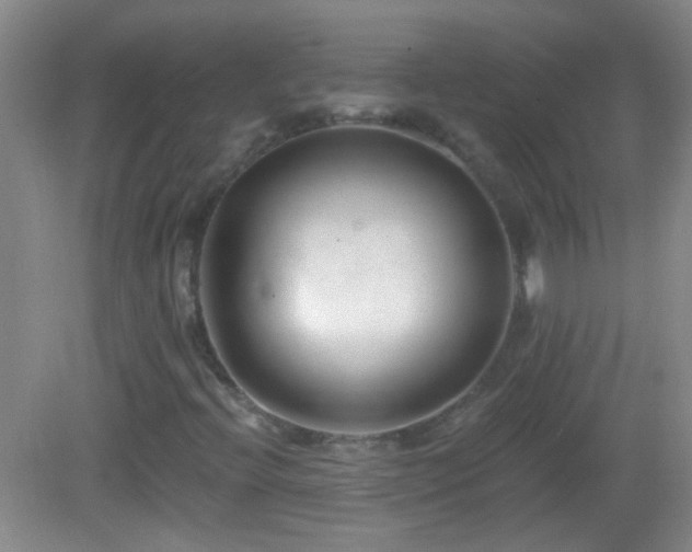 X0000082931396200702011228