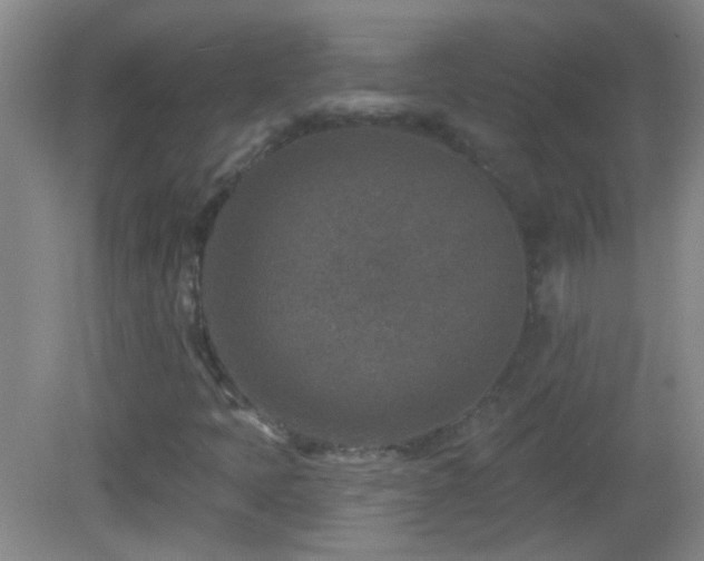 X0000082931397200702011228