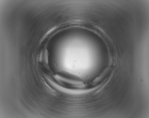 X0000082931402200702011228
