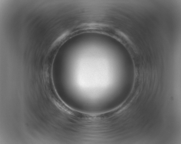X0000082931403200702011228