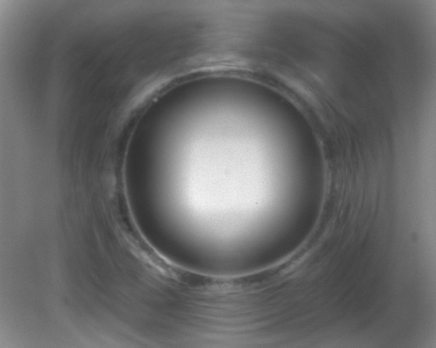 X0000082931407200702011228
