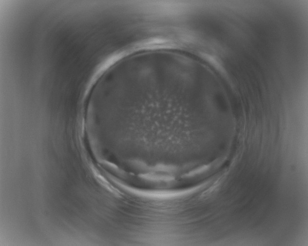 X0000082931413200702011228