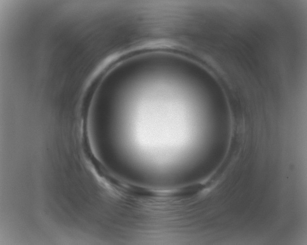 X0000082931414200702011228
