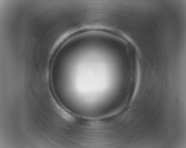 X0000082931416200702011228